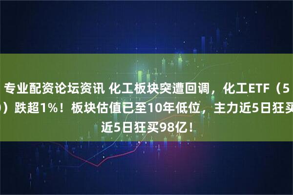 专业配资论坛资讯 化工板块突遭回调，化工ETF（516020）跌超1%！板块估值已至10年低位，主力近5日狂买98亿！