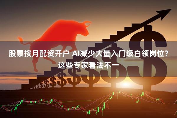 股票按月配资开户 AI减少大量入门级白领岗位？这些专家看法不一